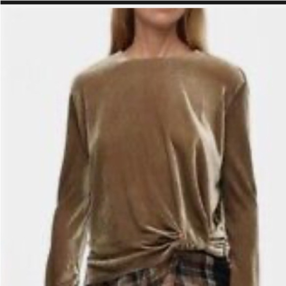 Zara Velvet Top Limited Edition - Picture 3 of 5